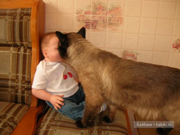 Наша киска Наша киска