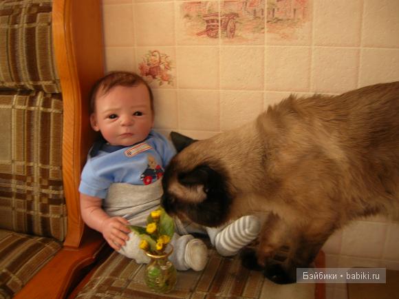 Я и наш котик Я и наш котик