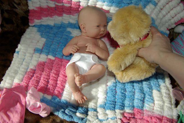 Маргаритка, а по домашнему Ритатуй