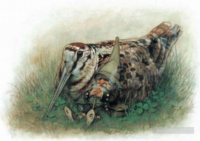 Гномики и эльфики