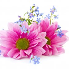 Цветочная композиция