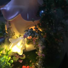 Свободное время