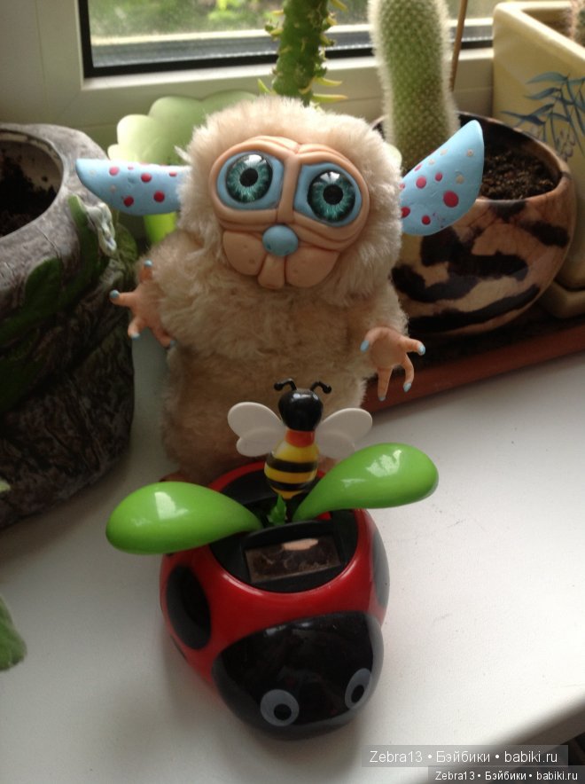 Суселка Куппи нуждается в помощи