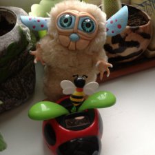 Суселка Куппи нуждается в помощи