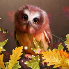 Разыскиваются таланты