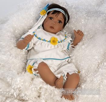 shasta daisy shasta daisy