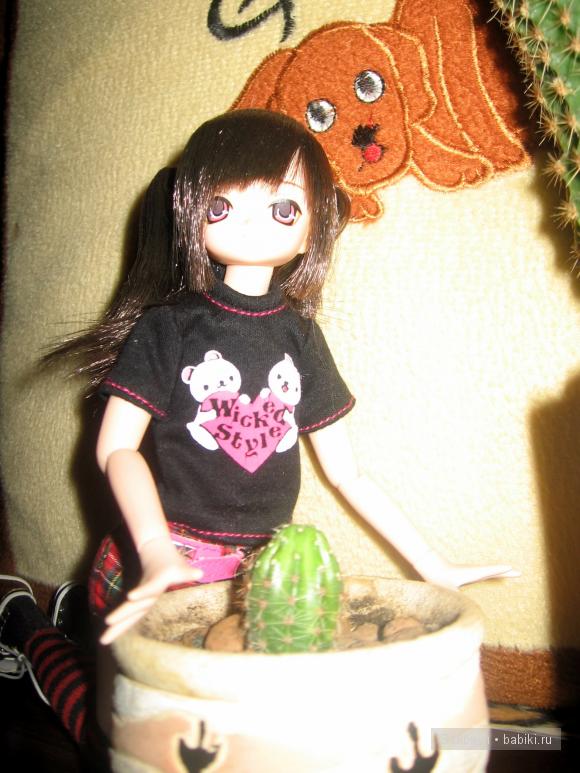 Айка с кактусами