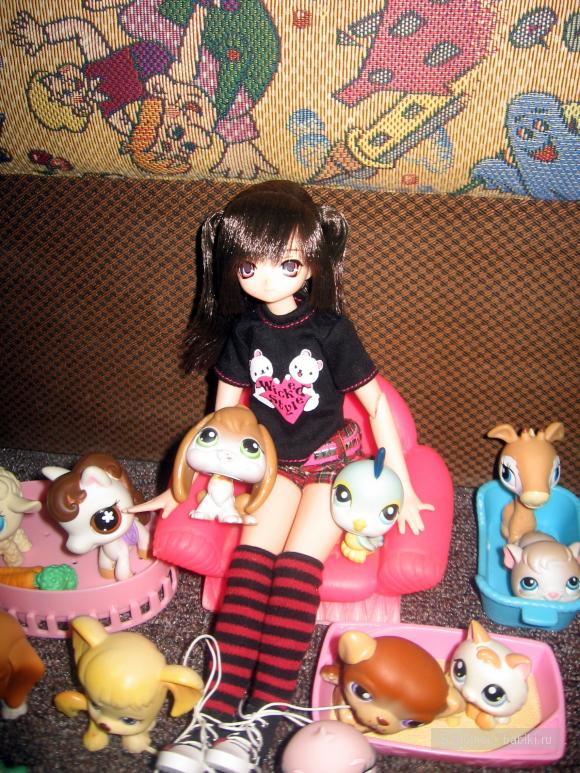 Айка с животными