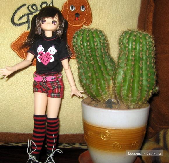 Айка с кактусами