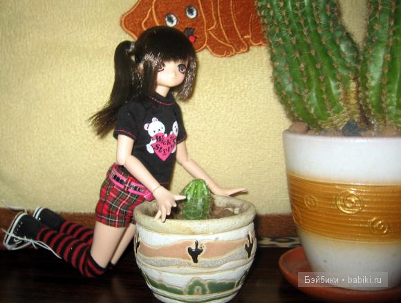 Айка с кактусами