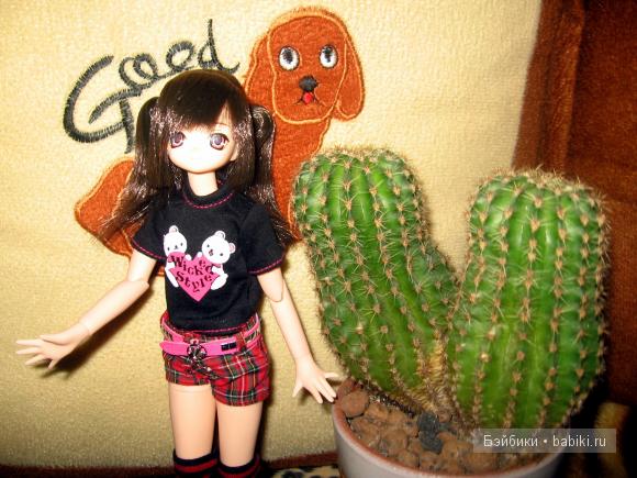 Айка с кактусами