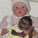 Случилась вот такая оказия....