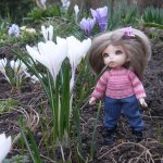 Первая вылазка на улицу. Puki fee Ante, bjd