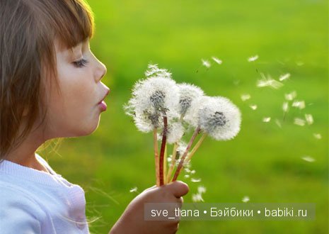 У вас есть одуванчик? а у нас есть! Linnea от Zwergnase (фото 2)