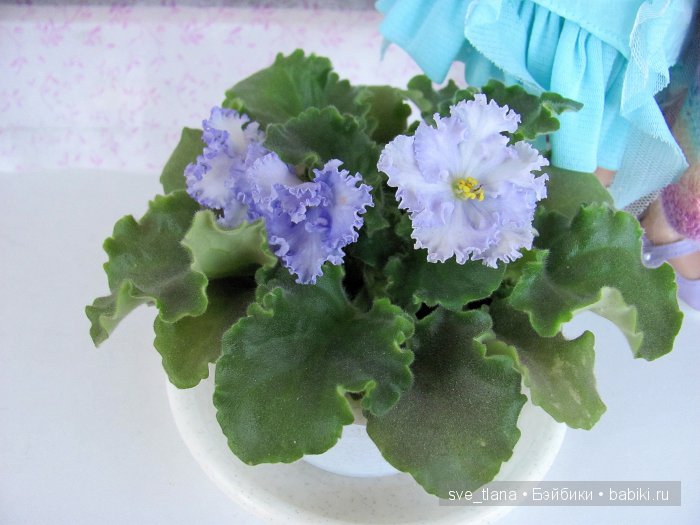 Сестрички от Helen Kish - мои цветочные феечки