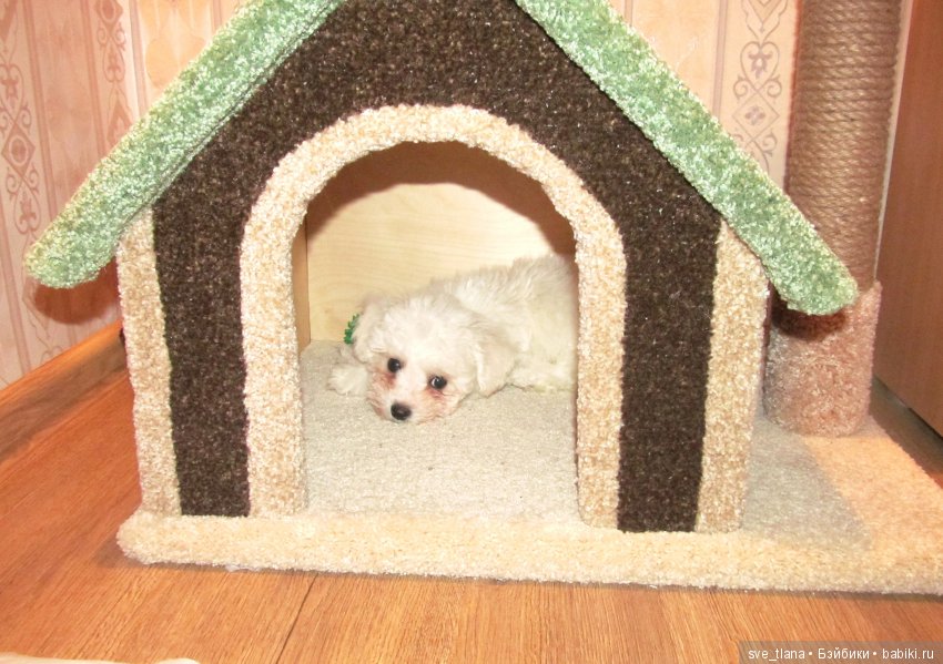 Кукольный календарь II. Стоит ли давать себе новогодние обещания