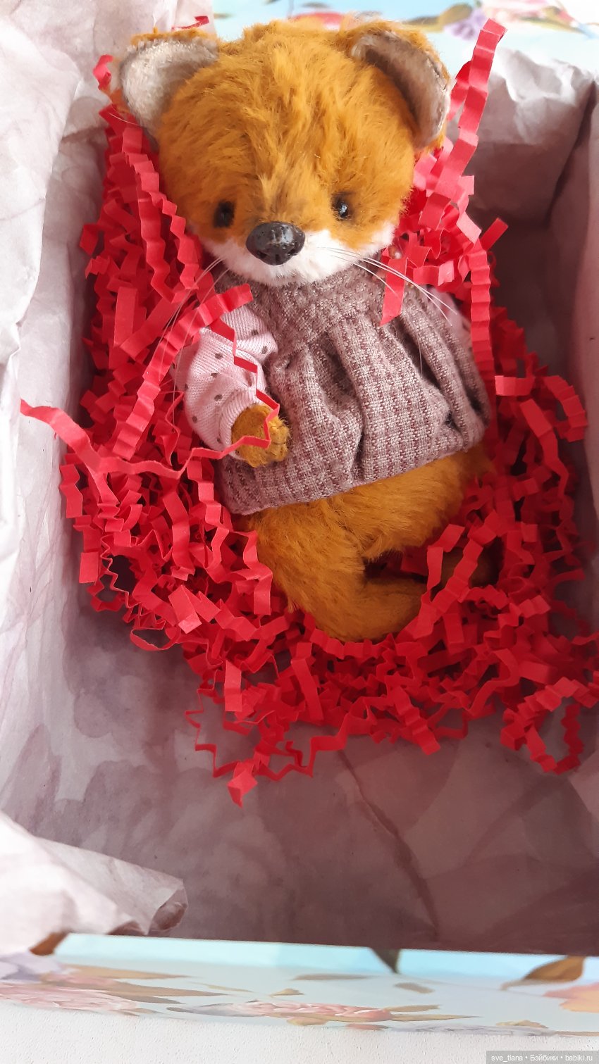 Новенькие в семейке лисичек (фото 3)