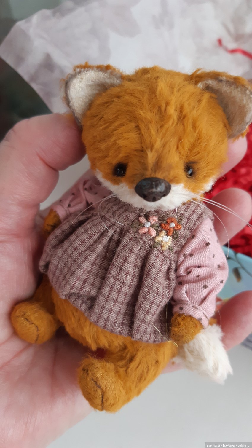 Новенькие в семейке лисичек (фото 4)