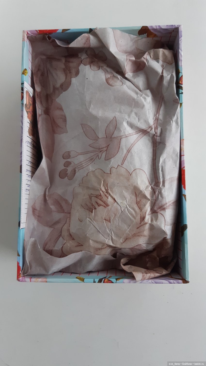 Новенькие в семейке лисичек (фото 2)