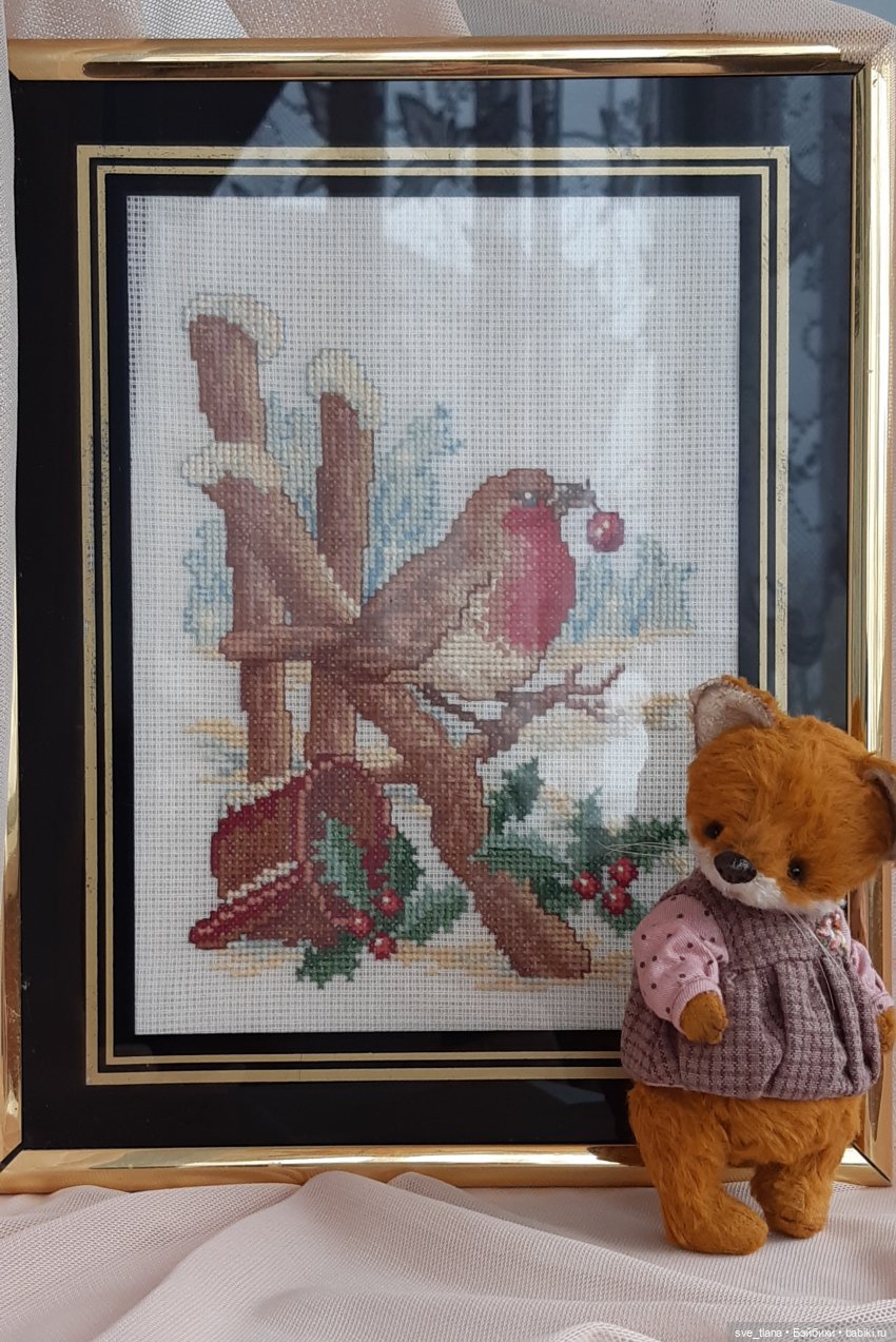 Новенькие в семейке лисичек (фото 6)