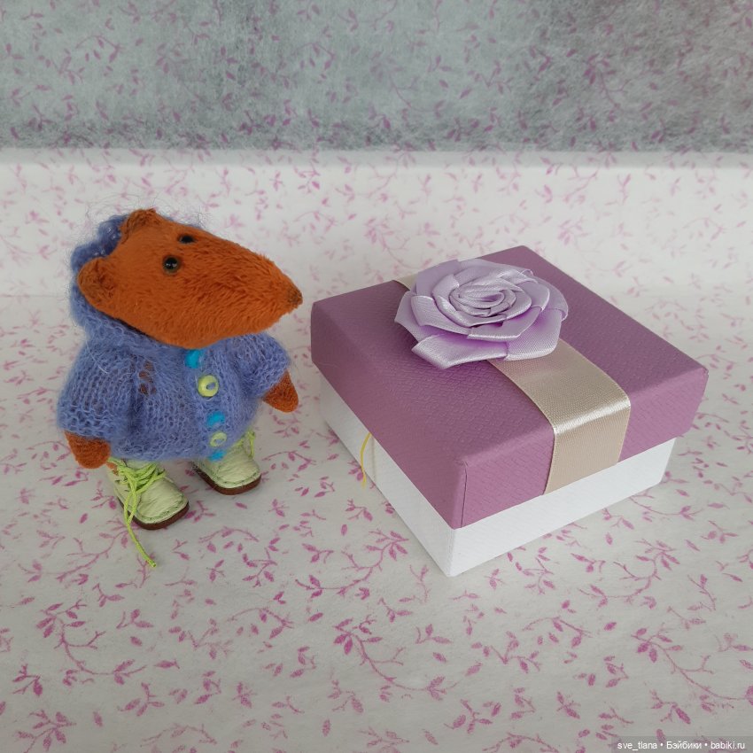 Новенькие в семейке лисичек (фото 7)