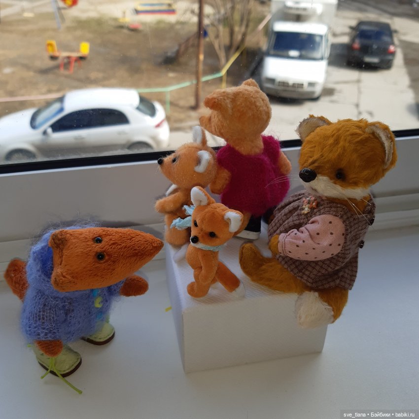 Новенькие в семейке лисичек
