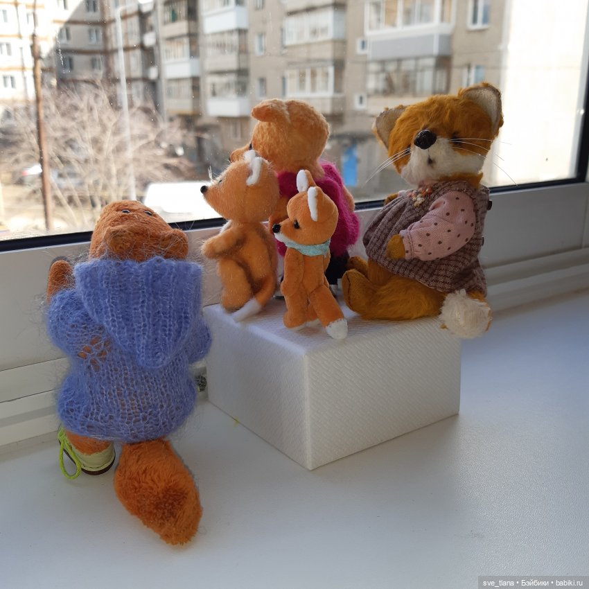 Новенькие в семейке лисичек