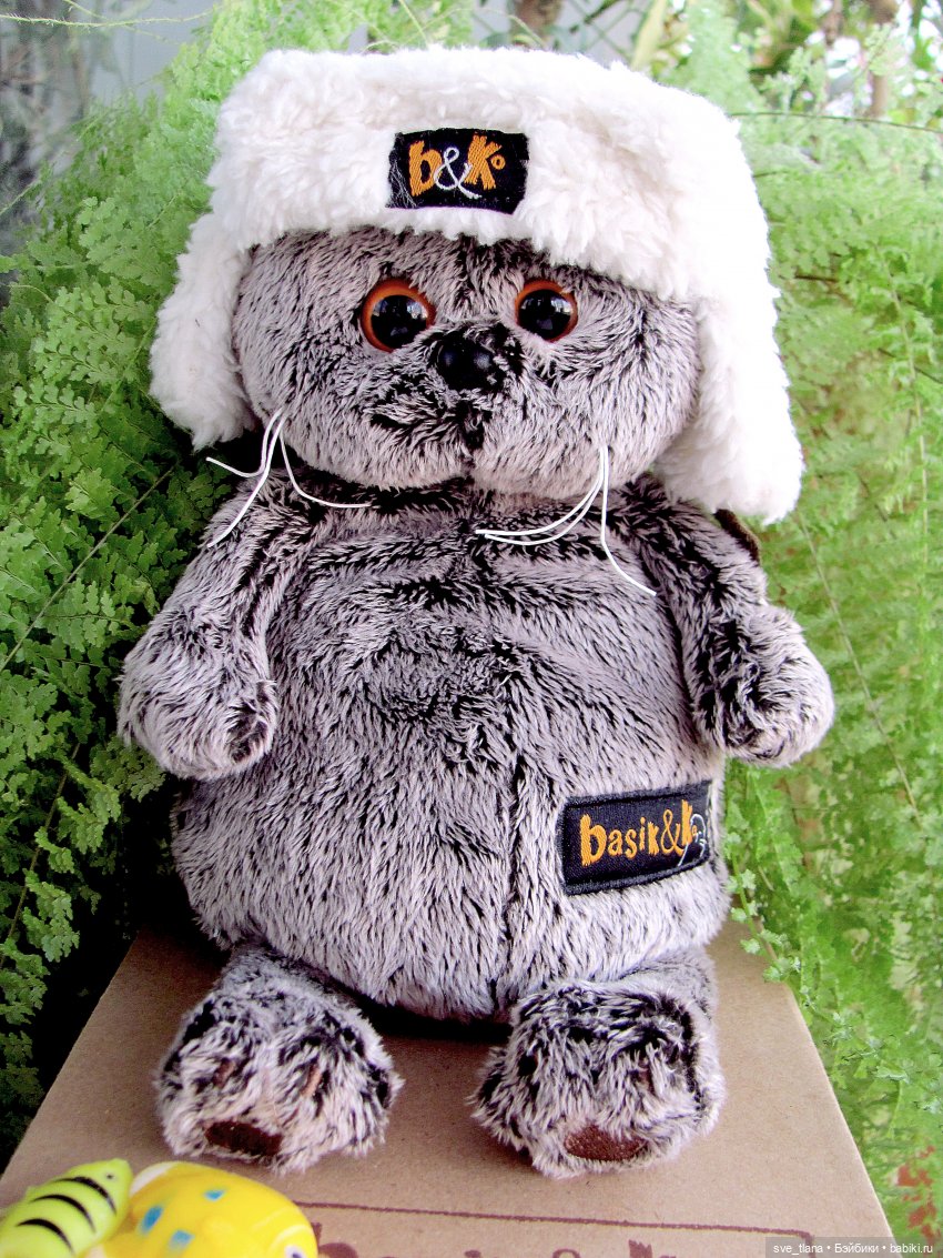 Всемирный день кошек (World Cat Day). С праздником всех нас