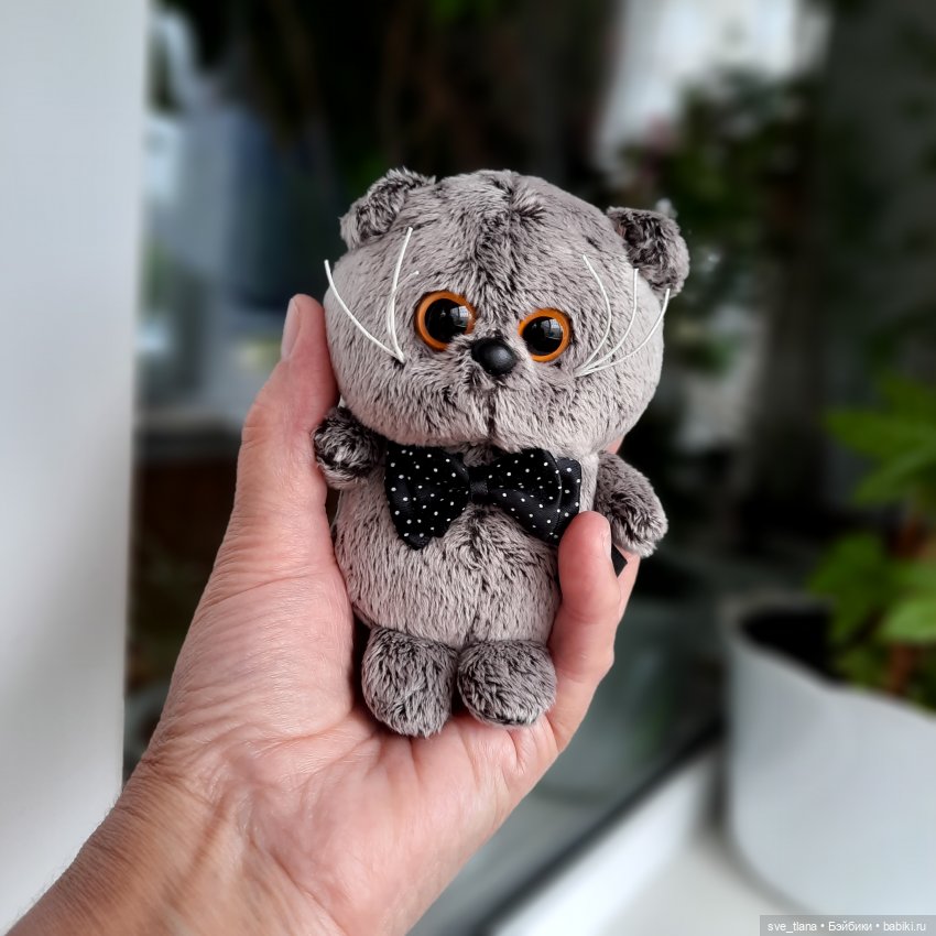 Всемирный день кошек (World Cat Day). С праздником всех нас