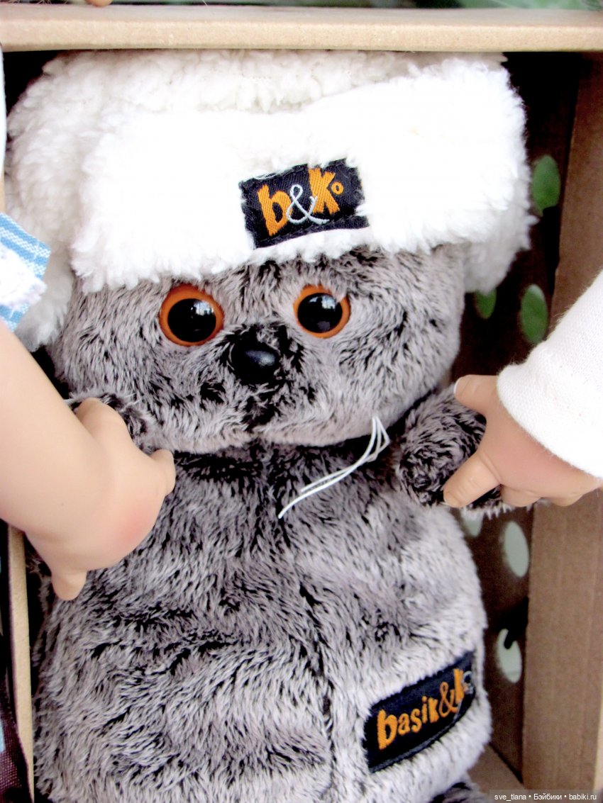 Всемирный день кошек (World Cat Day). С праздником всех нас