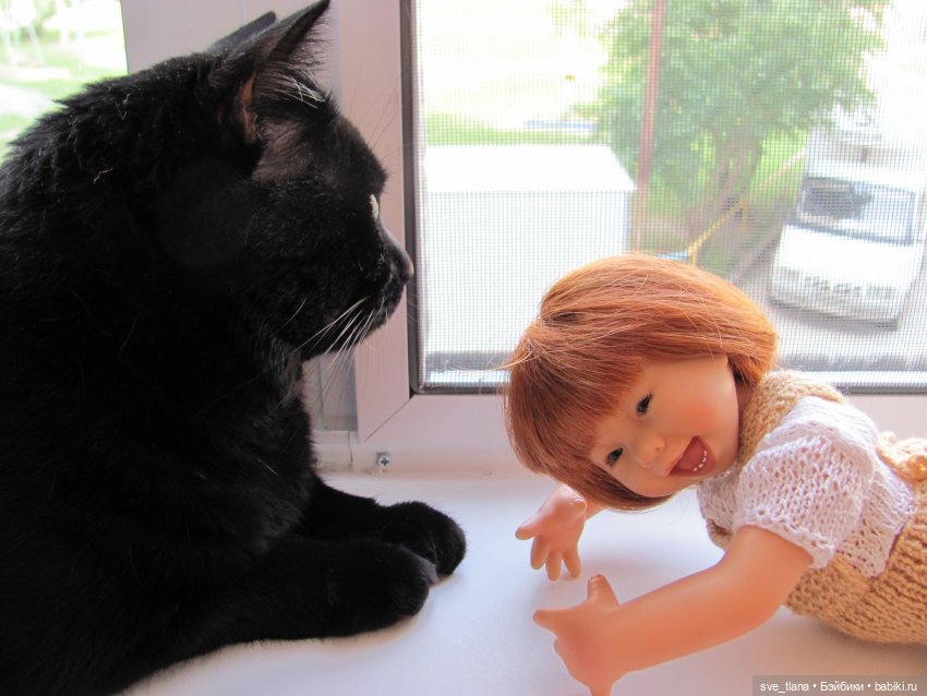 Всемирный день кошек (World Cat Day). С праздником всех нас (фото 3)