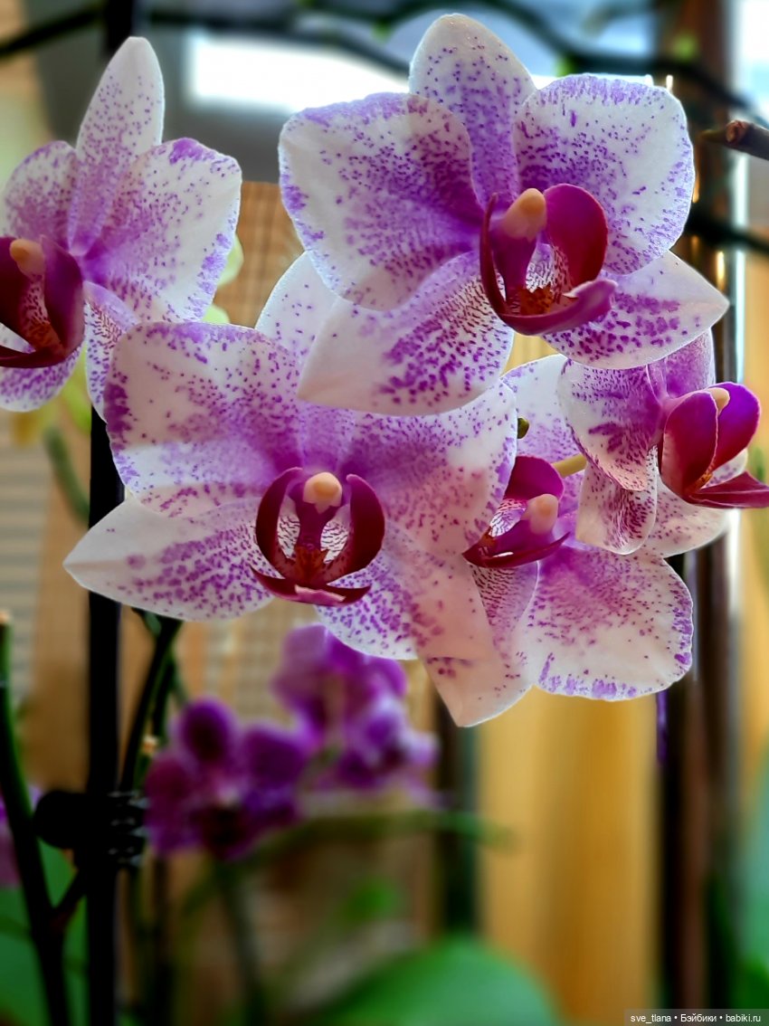 Праздник каждый день. Так себе календарчик (фото 6)