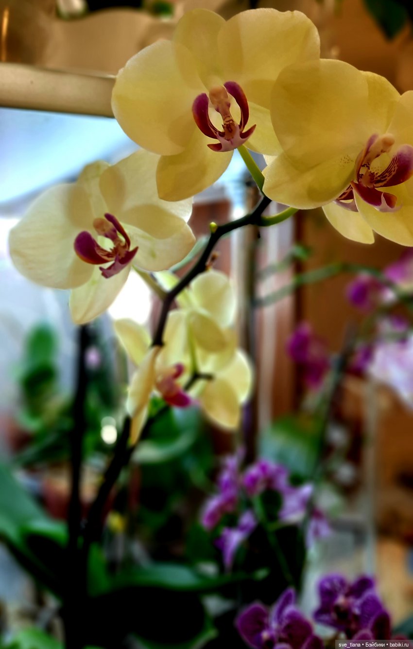 Праздник каждый день. Так себе календарчик (фото 4)