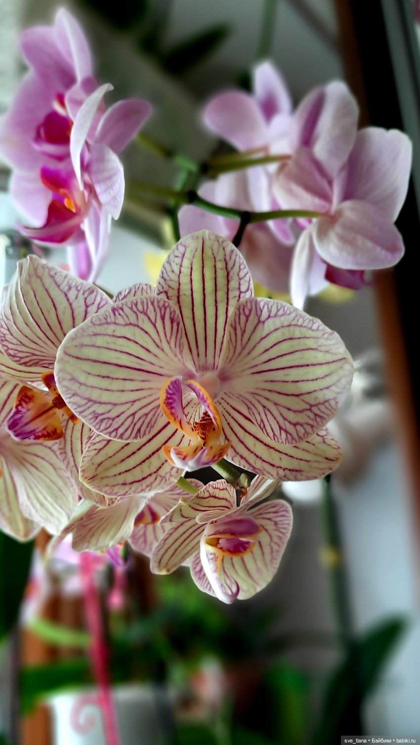 Праздник каждый день. Так себе календарчик (фото 5)