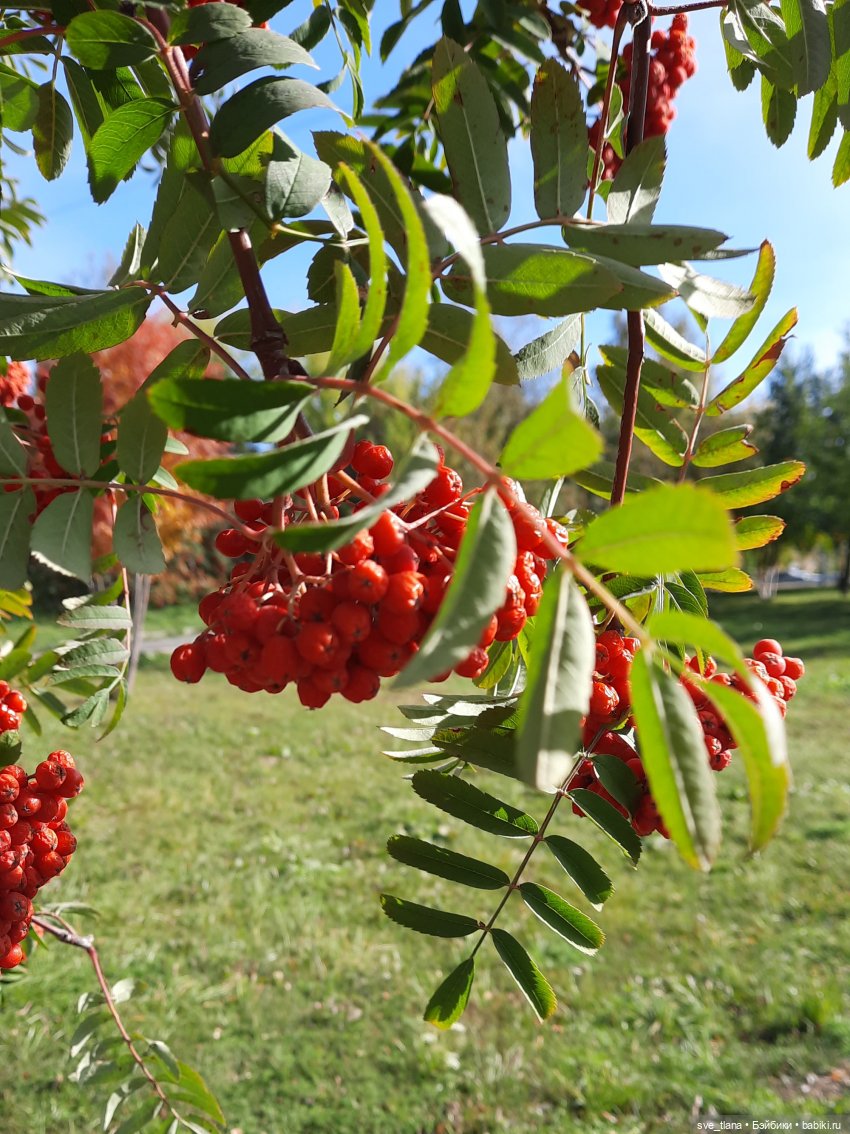 Праздник каждый день. Так себе календарчик