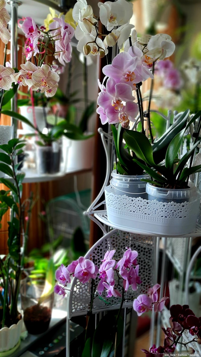 Праздник каждый день. Так себе календарчик