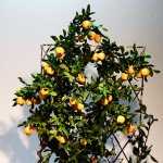 Моя несъедобная миниатюра для кукол