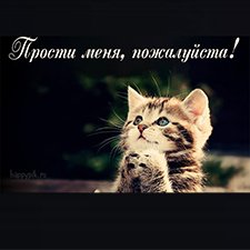 Прости меня, продавец