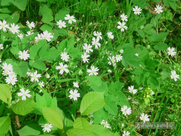 Мои увлечения — Рисование и арт: скетчи (фото 9)