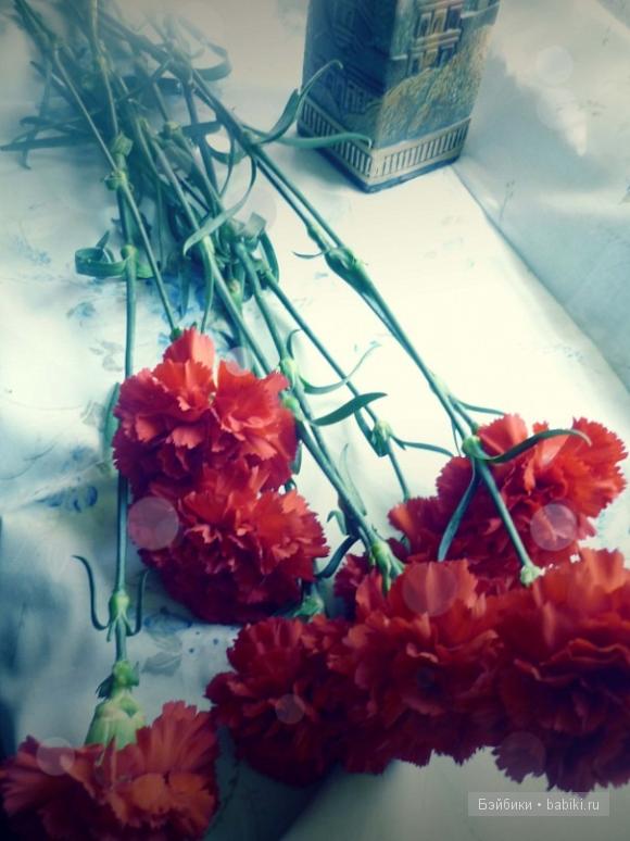 Мои увлечения — Рисование и арт: скетчи (фото 6)