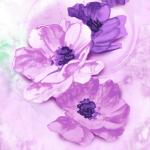 Мои увлечения!