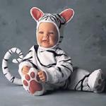 Животный мир от Ли Миддлтон