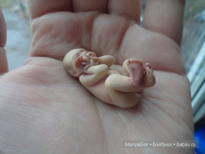 Малыши, которых не показывала