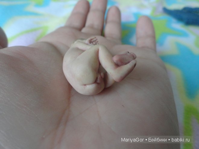 Малыши, которых не показывала