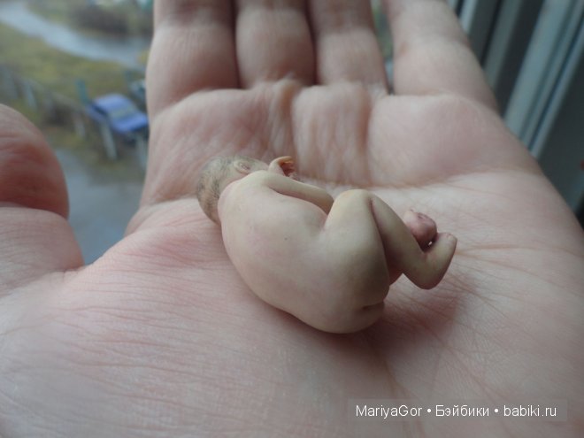 Малыши, которых не показывала