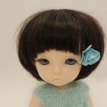 Кассандра или новое платье на пукифи.