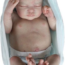 Сиренити от Екатерины Бойковой. Serenity Laura Lee Eagles