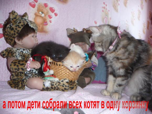 Антонио Хуан