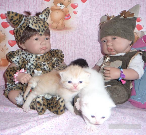 Антонио Хуан