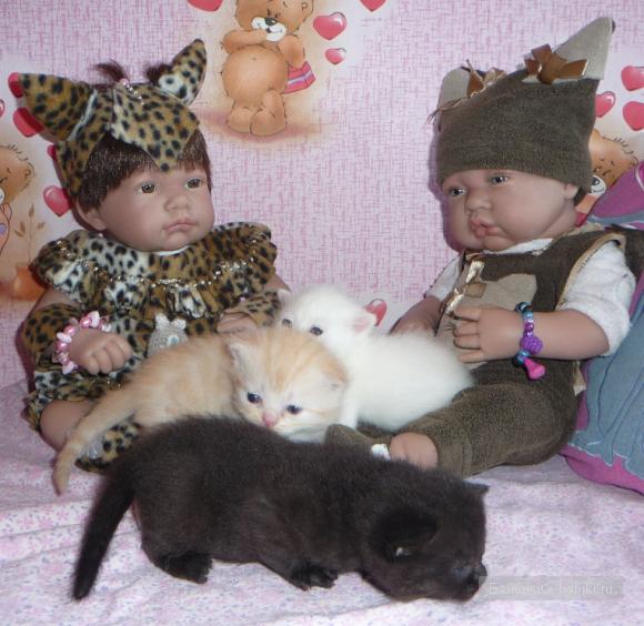 Антонио Хуан